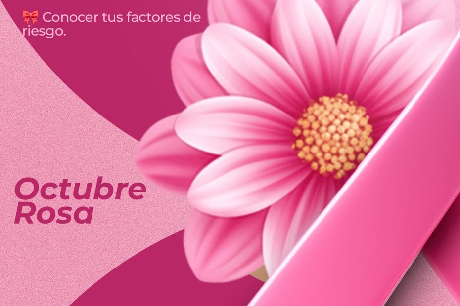 web banner la fila rosa